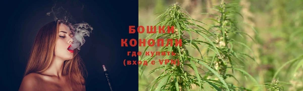 крисы Касимов