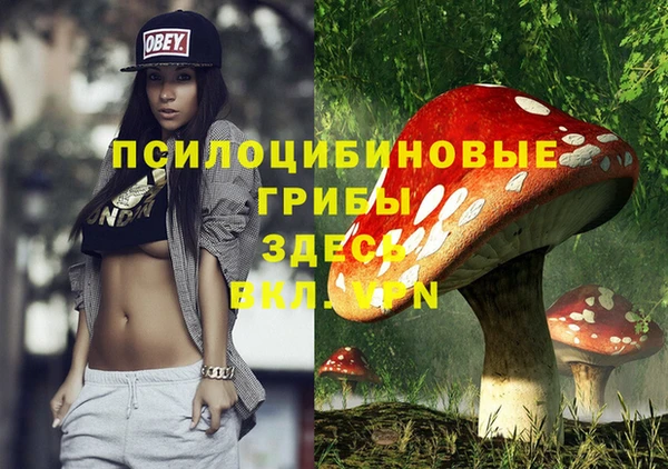 молекула духа Абдулино
